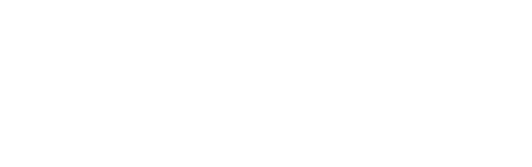 Dirona Consulting